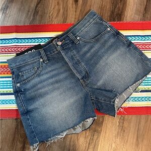 NWT BDG Boyfriend Low-Rise Distressed Button Fly Jean Shorts